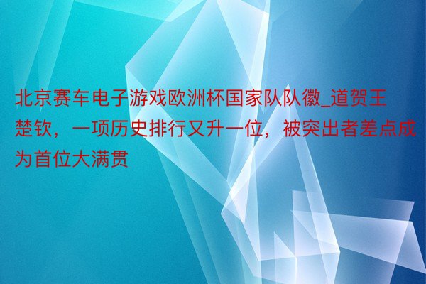 北京赛车电子游戏欧洲杯国家队队徽_道贺王楚钦，一项历史排行又升一位，被突出者差点成为首位大满贯