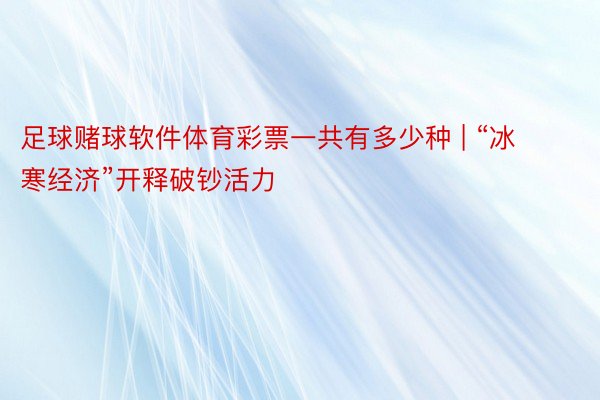 足球赌球软件体育彩票一共有多少种 | “冰寒经济”开释破钞活力