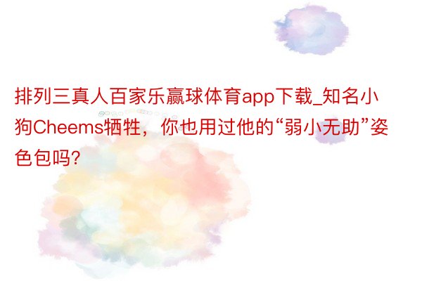 排列三真人百家乐赢球体育app下载_知名小狗Cheems牺牲，你也用过他的“弱小无助”姿色包吗？