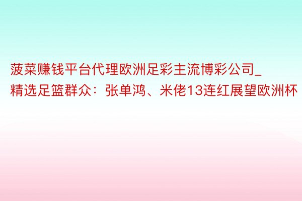 菠菜赚钱平台代理欧洲足彩主流博彩公司_精选足篮群众：张单鸿、米佬13连红展望欧洲杯