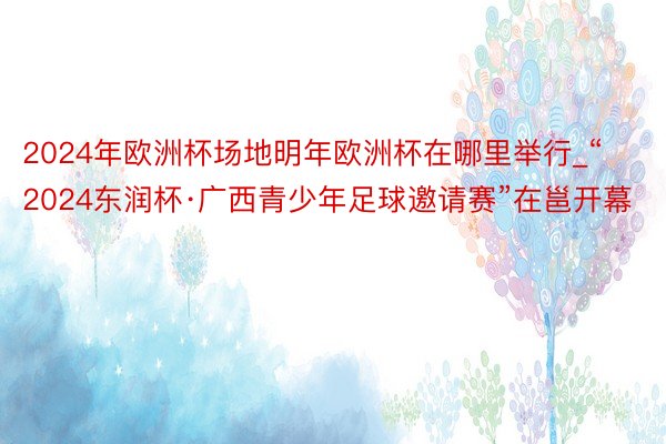 2024年欧洲杯场地明年欧洲杯在哪里举行_“2024东润杯·广西青少年足球邀请赛”在邕开幕