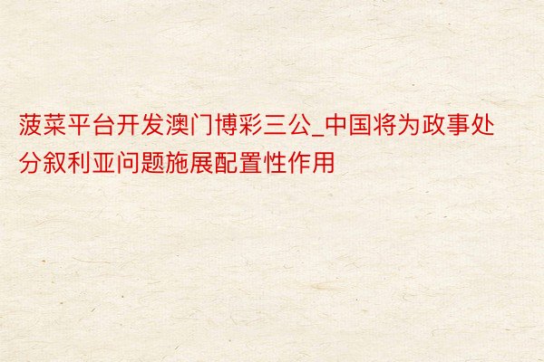 菠菜平台开发澳门博彩三公_中国将为政事处分叙利亚问题施展配置